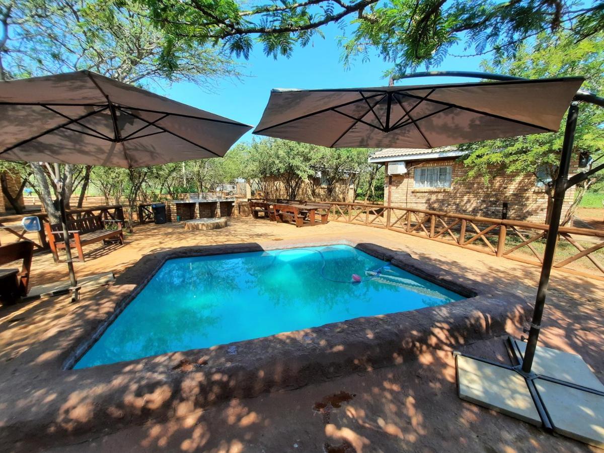 462 Bosbok Chalets Marloth Park Extérieur photo